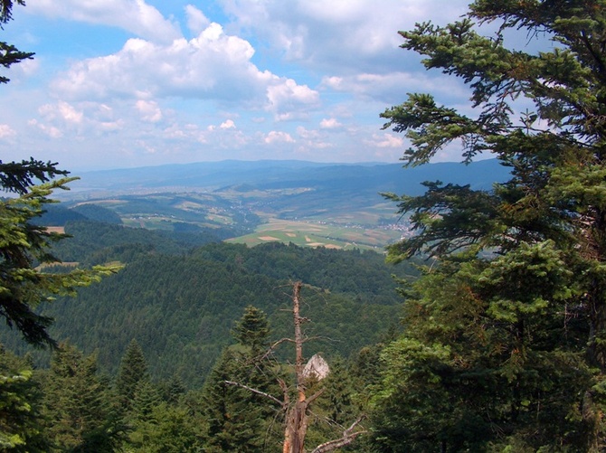 Pieniny