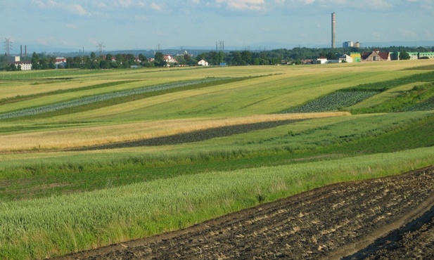 Debata o rolnictwie: GMO, KRUS i dopłaty