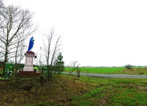 Władze Białołęki wielokrotnie zawyżyły cenę gruntu, przyznanego elżbietankom (na zdjęciu).