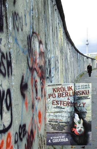 20 lat temu mur dzielący Berlin runął. Króliki rozproszyły się po całym mieście.