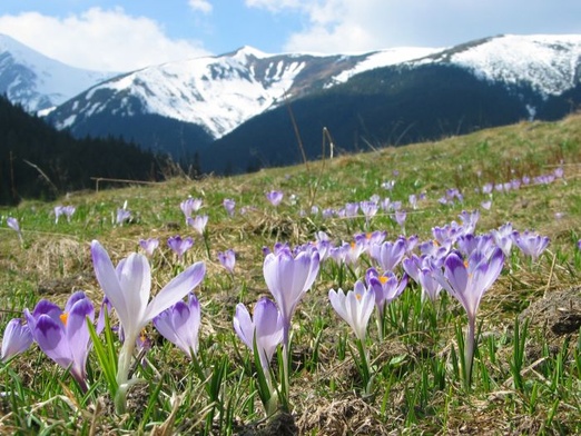 Więźniowie sprzątali Tatry