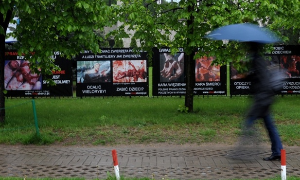 Brzesko za życiem