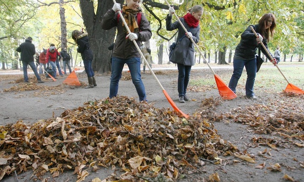 Akcja „Zbierz, zgrab, zutylizuj”