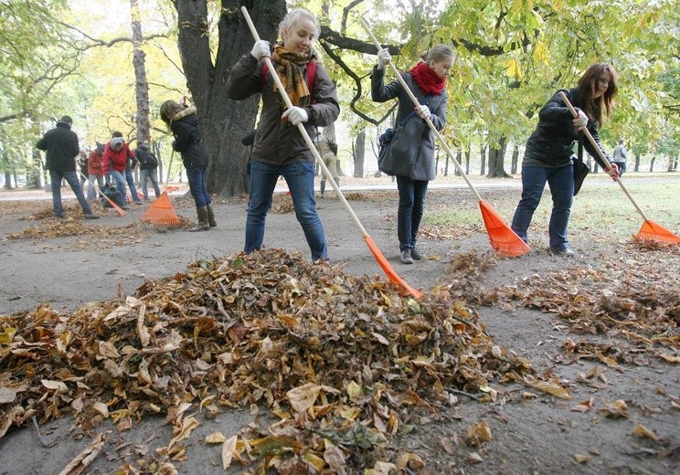 Akcja „Zbierz, zgrab, zutylizuj”