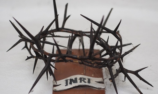 Dziwili się, że polski Kościół chce beatyfikować "Niemców"