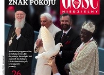 GN: Misja Asyżu