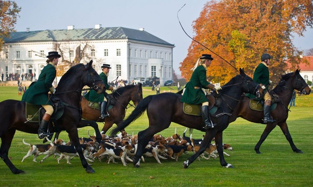 Hubertus w Niemczech