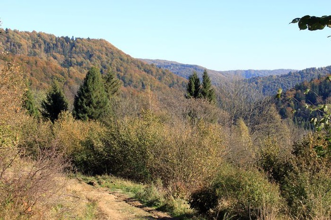 Śladem zapomnianych pielgrzymów