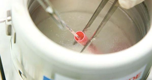 Posłowie przeciw in vitro