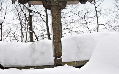 Brak tytułu