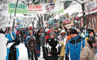 Brak tytułu