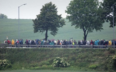 Brak tytułu