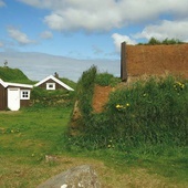 Brak tytułu