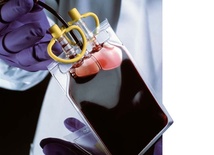 Sztuczna krew z embrionów