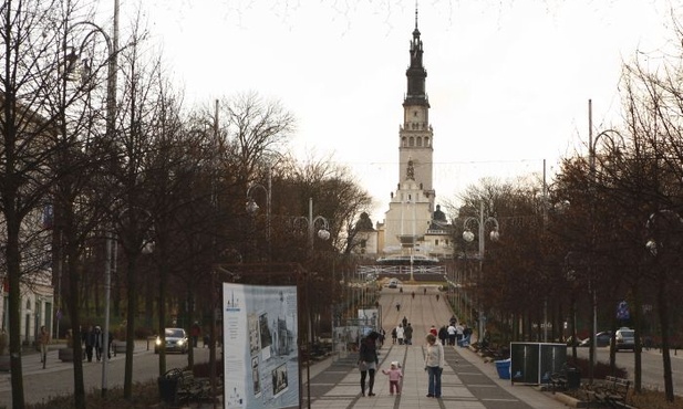 Częstochowianie mają płacić za in vitro?