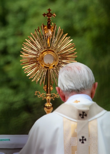 Arcybiskup Damian Zimoń, Metropolita Górnośląski