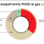 Gaz, a sprawa polska