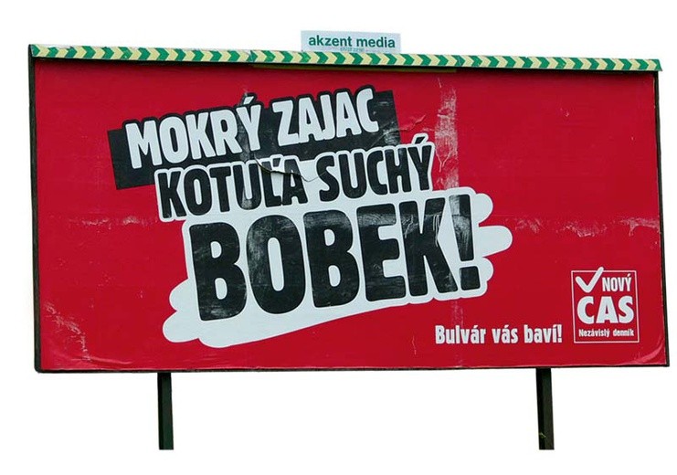 Uwaga, mokry zając!