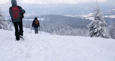 Szukaj śniegu w internecie