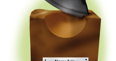 Rozdział człowieka