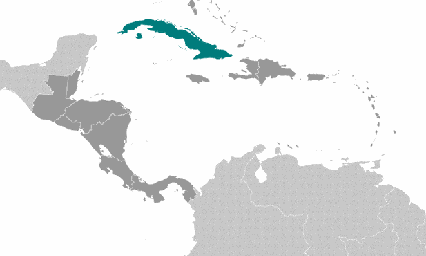 Peregrino de la Caridad