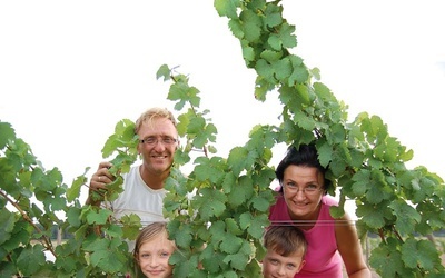 Winobranie w Zielonej Górze