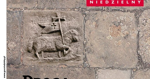 Przygotuj się