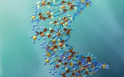 Niepewne DNA