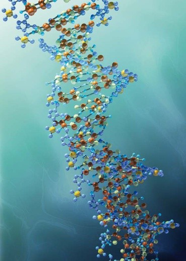 Niepewne DNA