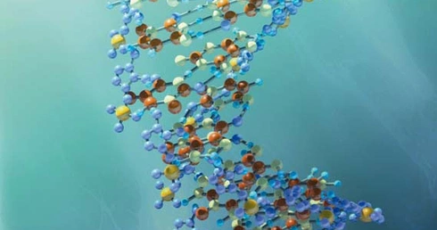 Niepewne DNA