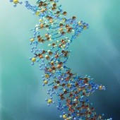 Niepewne DNA