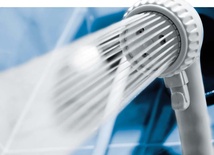 Czają się wszędzie