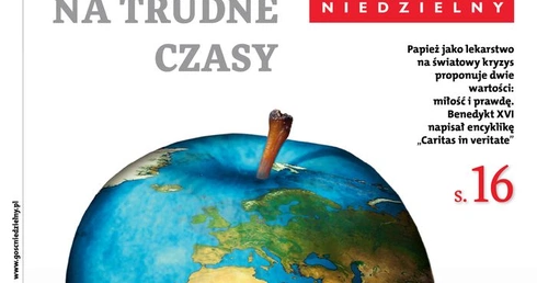 Postępowy pomidor