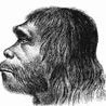 Mózgi neandertalczyków trochę inne