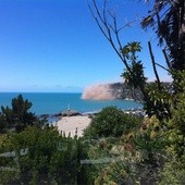 Nowa Zelandia: Silne trzęsienie ziemi 