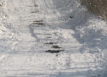 Na ścieżkach ewangelizacji