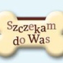 Brak tytułu