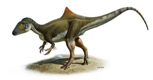Dinozaur z garbem