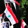 Syryjska flaga