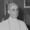 Franciszek chce kanonizować Piusa XII?