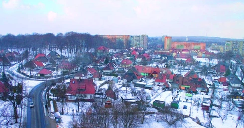 Biznes – reaktywacja