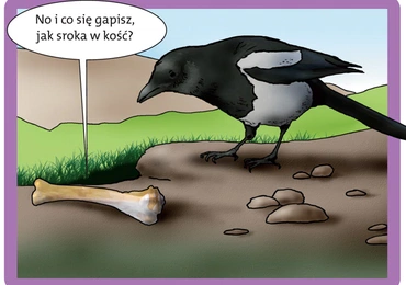 Kawał dobrej roboty