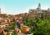 Siena palona