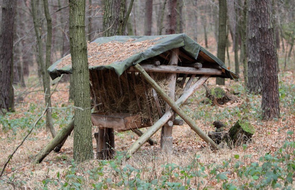 Paśnik