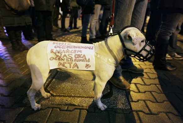 Jak się ma ACTA do wolności obywateli?