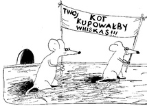 Rysuje Małgorzata Lazarek