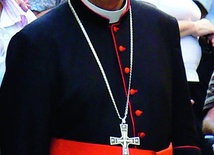 Kard. Antonio Cañizares