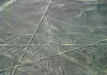 Kondor z Peru