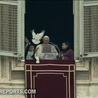 Gołębie lubią papieża