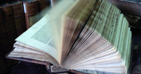 Bakterie w bibliotece